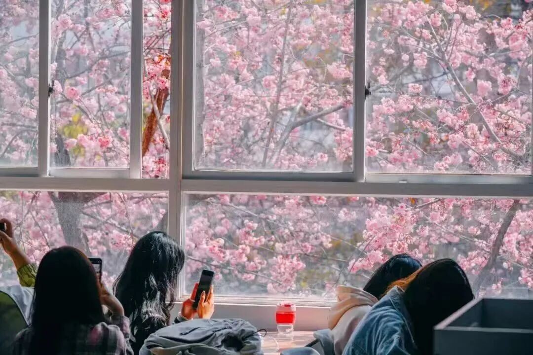 排名揭晓！bat365中文官方网站全国10强‼️ 第 15 张